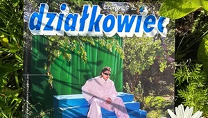 Dał sekretny koncert na działkach. O co w tym wszystkim chodzi?