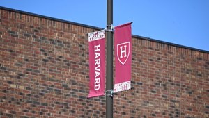 Trump uderza w Harvard. Koniec z przyjmowaniem studentów z zagranicy