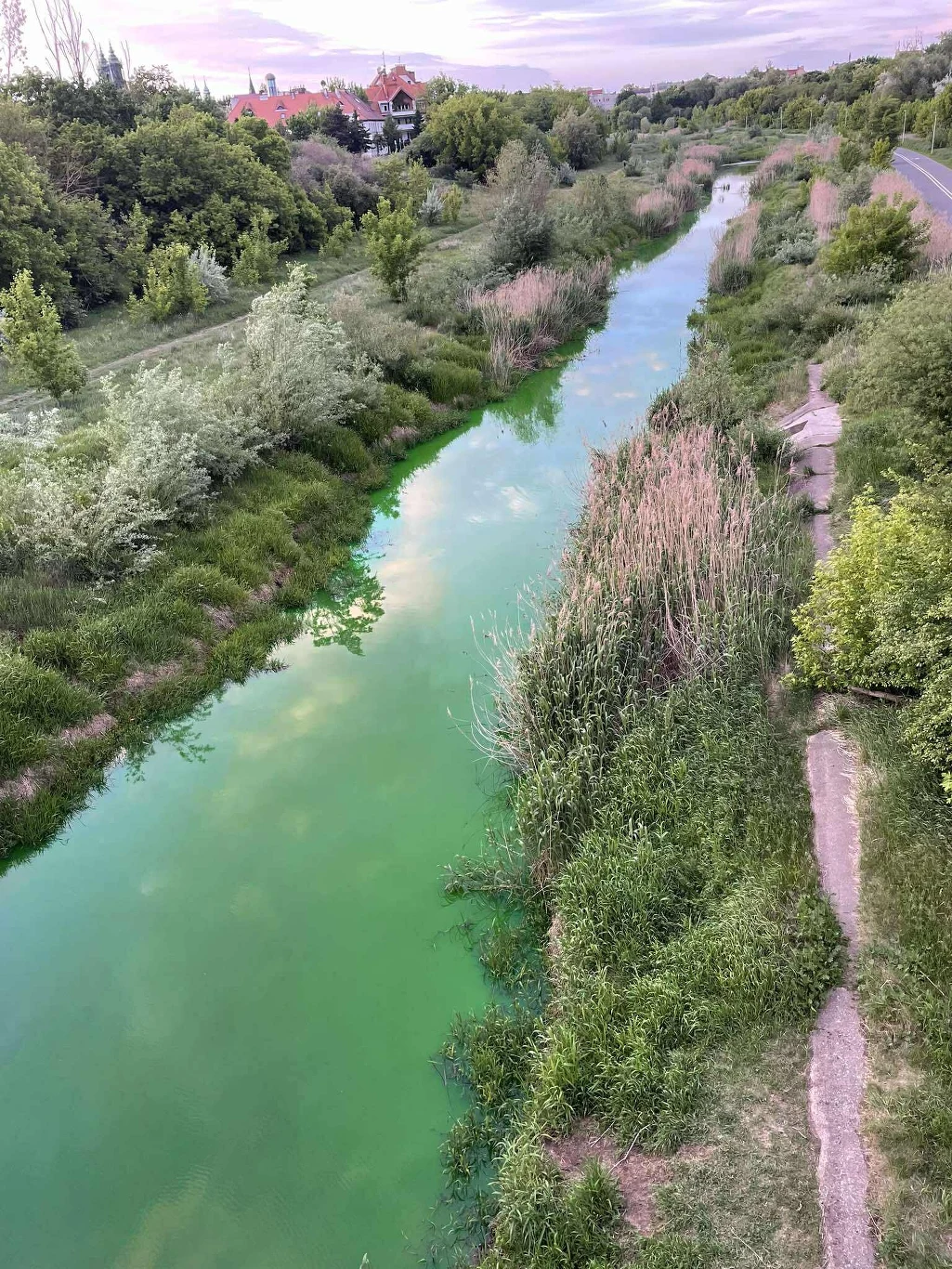 Zielonkawa, wąska rzeka otoczona bujną roślinnością, wzdłuż której przebiega ścieżka oraz droga, w tle widoczne domy na obrzeżach i rozległe pola zieleni