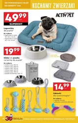 Wakacyjna oferta w Biedronce! 