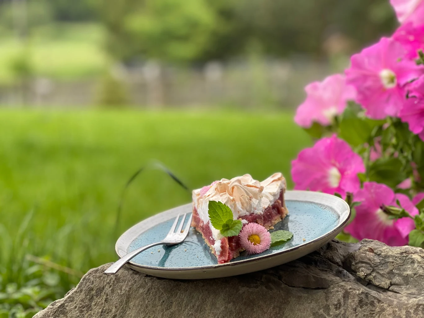 Tarta z rabarbarem Kawałek ciasta z bezą i owocami udekorowany świeżą miętą oraz różowym kwiatkiem, podany na niebieskim talerzu, stoi na kamieniu wśród zielonej trawy i różowych kwiatów w tle.