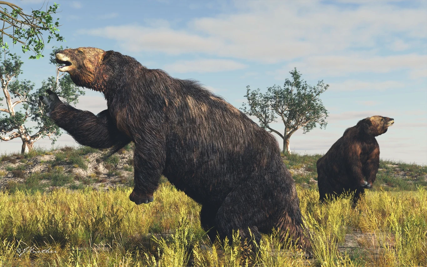 Megatherium - ogromny naziemny leniwiec ważył od 5 do 8 ton, tyle co słoń Dwa duże, prehistoryczne niedźwiedzie poruszające się po trawiastym terenie z rozproszonymi drzewami, jeden z nich sięga po liście na gałęzi, drugi przemieszcza się w tle.