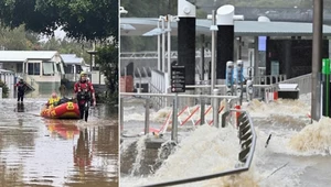 Walczą nie tylko z wielką wodą. Niespodziewany pojedynek z kangurem