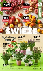 Świeżo w Netto 