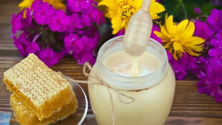 Miód rzepakowy szybko uzyskuje kremowy, niemalże biały kolor