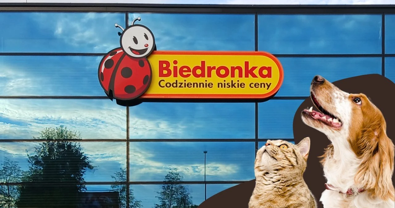 Akcesoria dla zwierząt w Biedronce Akcesoria dla zwierząt w Biedronce