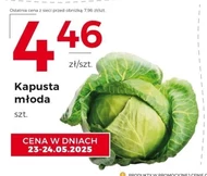 Kapusta młoda