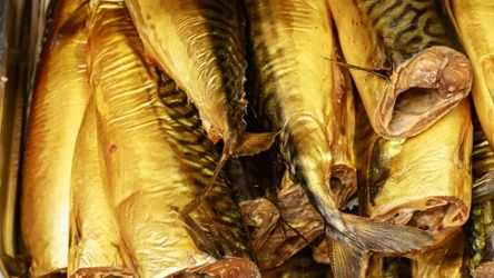 Ta ryba powinna znaleźć się w menu każdego, kto dba o zdrowie