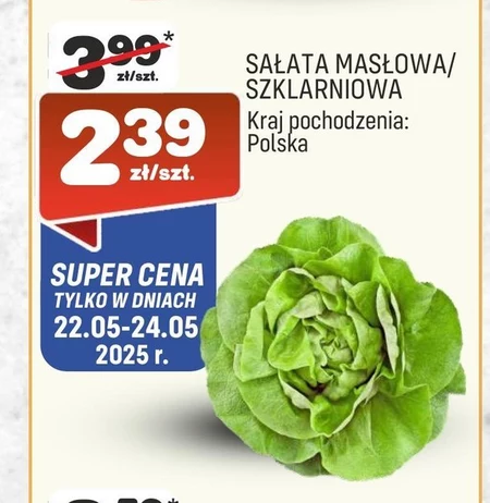 Sałata masłowa