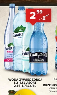 Woda Żywiec zdrój