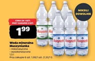 Мінеральна вода Muszynianka