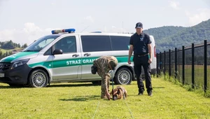 Czworonożni saperzy wysłani do Ukrainy. Pomogą wykrywać materiały wybuchowe