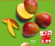 Манго Mango