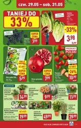 Świeżość i oszczędność - Aldi