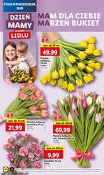 2+2 GRATIS i inne super oferty! - Lidl