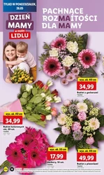 2+2 GRATIS i inne super oferty! - Lidl