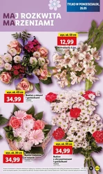 2+2 GRATIS i inne super oferty! - Lidl