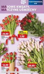 2+2 GRATIS i inne super oferty! - Lidl