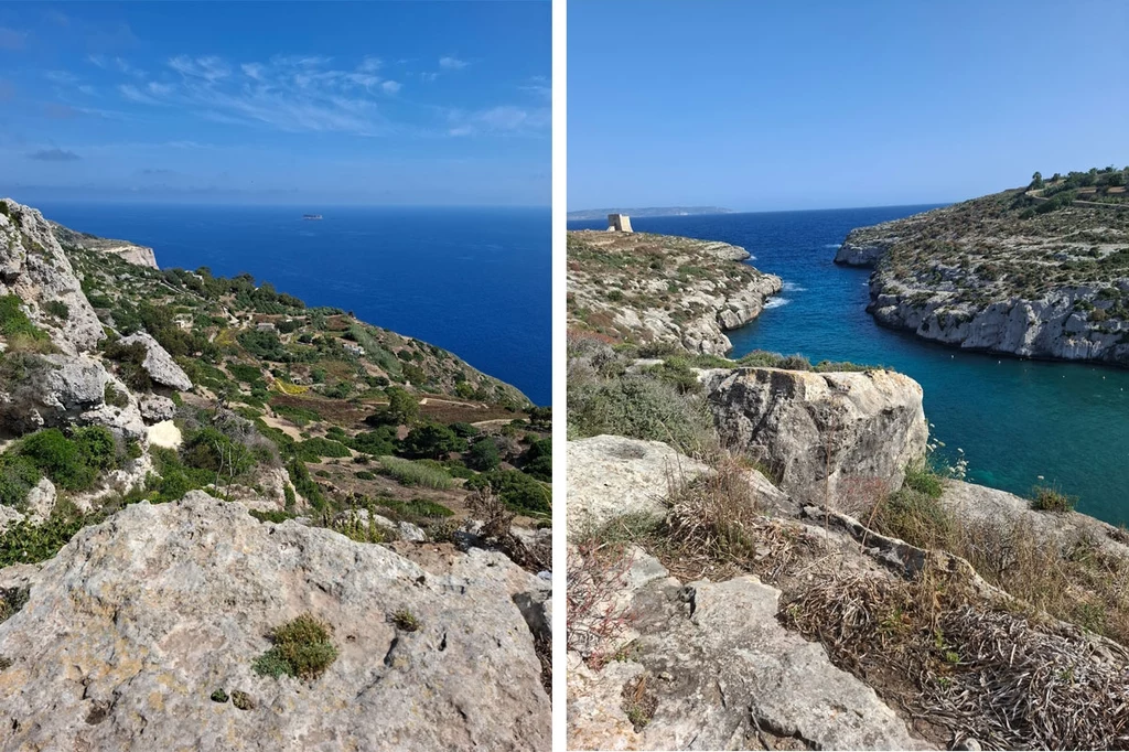 Malta, Klify Dingli. Gozo, zatoka Mġarr ix-Xini Szeroki widok na skaliste wybrzeże z soczyście zieloną roślinnością i turkusową wodą morską, w oddali widoczna kamienna wieża na cyplu.