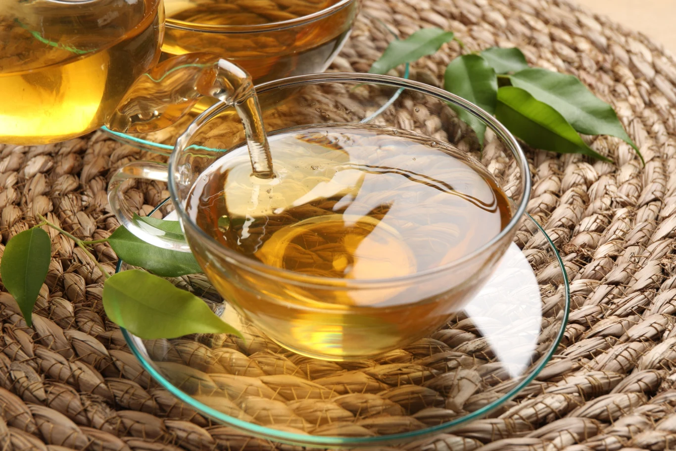 Herbata z suszonych liści popularnego drzewa przyspiesza metabolizm. Herbata z suszonych liści popularnego drzewa przyspiesza metabolizm.