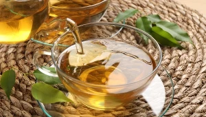 Herbata z suszonych liści popularnego drzewa przyspiesza metabolizm. 