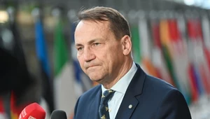 Dewastacja polskiego pomnika. Jest reakcja Polski na działania Rosji