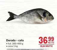 Dorada Netto