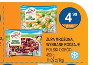 Zupa mrożona Hortex