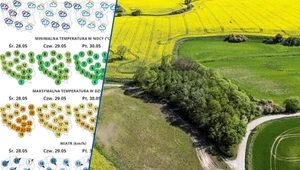 Pogoda w tygodniu przyniesie wiele zmian. Przelotnie popada, a miejscami zagrzmi. Pod koniec tygodniu eksperci spodziewają się zdecydowanego ocieplenia