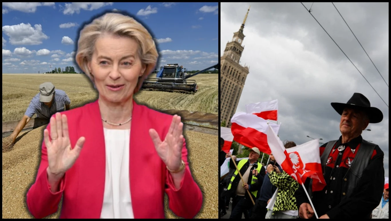 Ukraińska gospodarka zagrożona. Znany portal wskazuje na Brukselę Kobieta w różowej marynarce na tle pola z żniwiarzem i kombajnem, obok tłum ludzi z polskimi flagami oraz Pałacem Kultury i Nauki w Warszawie, mężczyzna w kapeluszu z przodu.