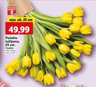Bukiet Polskie kwiaty