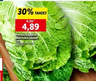Kapusta pekińska