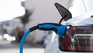 Jak skorzystać z programu NaszEauto?