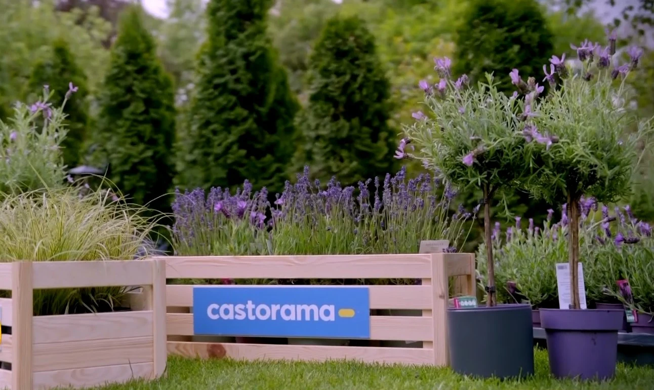 Oprócz nasłonecznienia kluczowym czynnikiem przy doborze roślin jest rodzaj gleby