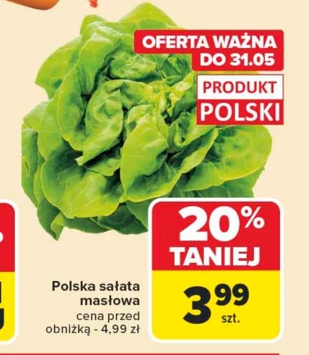 Sałata masłowa Polski