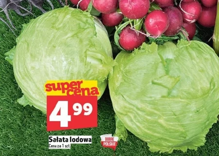 Sałata lodowa