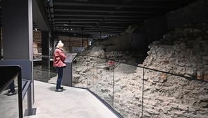 Zejdź pod Wawel. Historyczne mury i legendy czekają na odwiedzających