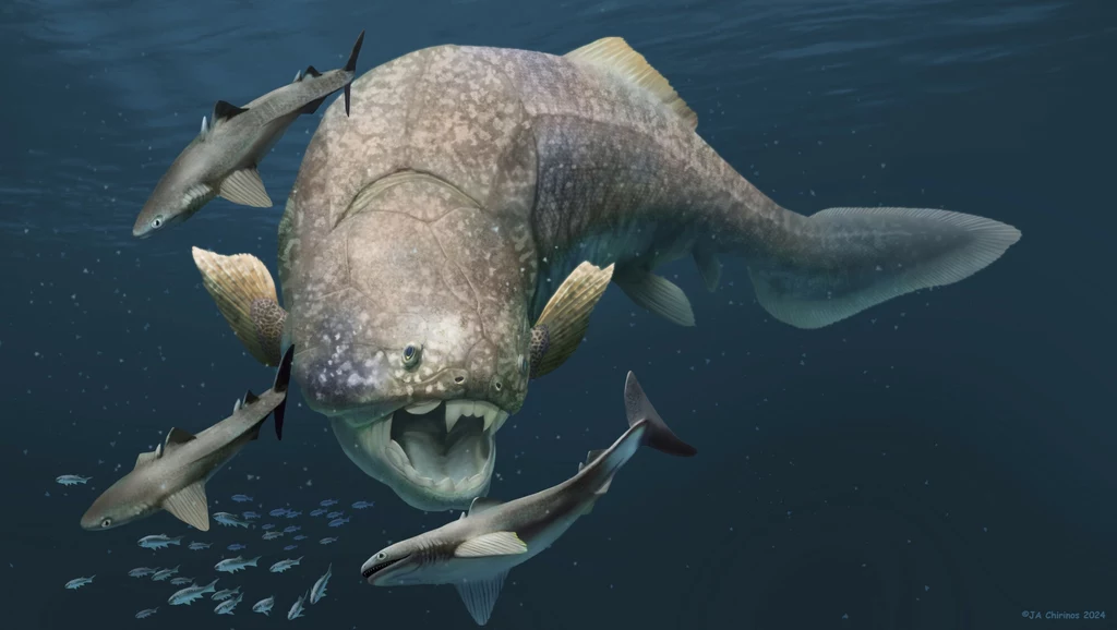 Dunkleosteus - żyjąca także w Polsce gigantyczna ryba pancerna Dunkleosteus - żyjąca także w Polsce gigantyczna ryba pancerna