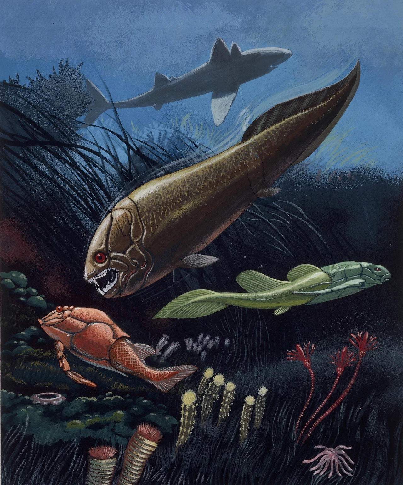 Dunkleosteus i inne wielkie ryby pancerne rozkwitły w epoce dewonu Podwodny świat prehistoryczny z dużą drapieżną rybą z widocznymi zębami na pierwszym planie, mniejszą jasnozieloną rybą, skorupiakiem na dnie oraz widocznym w oddali rekinem w toni wodnej, otoczony roślinnością i innymi morskimi organizmami.
