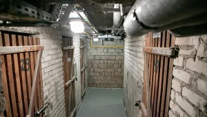 Wysokie mandaty dla właścicieli takich piwnic. Największe ryzyko jest w grudniu