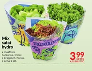 Mix sałat Netto