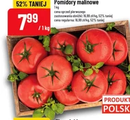 Pomidory
