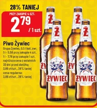 Piwo Żywiec