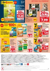 Świętuj Dzień Dziecka z Kauflandem