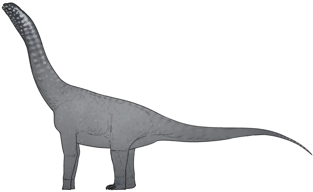 Tak mógł wyglądać chiński dżinczuanlong Sylwetka dinozaura o bardzo długiej szyi i ogonie oraz masywnym tułowiu, pokazana z profilu na jasnym tle.