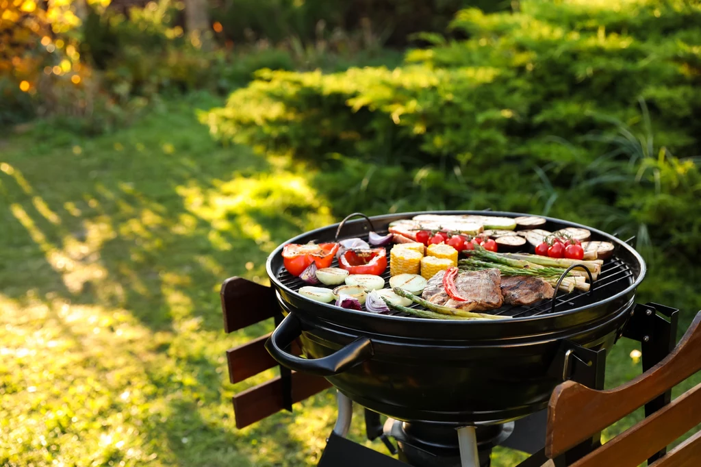 Nie tylko mięso. Na grillu można również przygotować warzywa i ryby Kolorowe warzywa, kawałki mięsa i kukurydzy grillowane na okrągłym grillu ogrodowym ustawionym na zielonym trawniku, w tle bujne krzewy i promienie słońca.