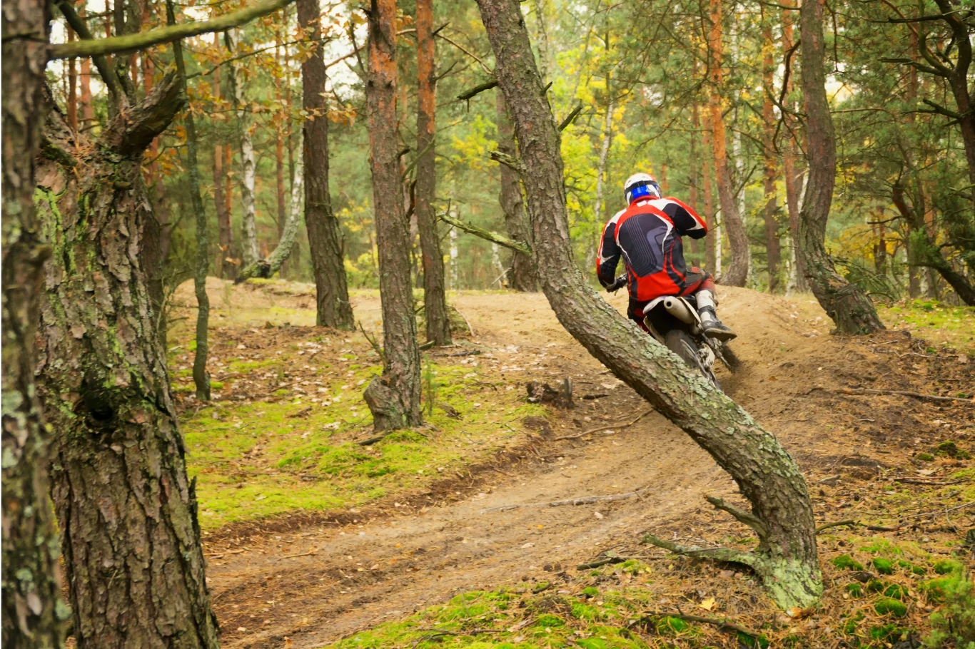 Motocyklista w czerwono-czarnym stroju jedzie przez leśną ścieżkę, wąską i piaszczystą, otoczoną drzewami sosnowymi i zielonym mchem.