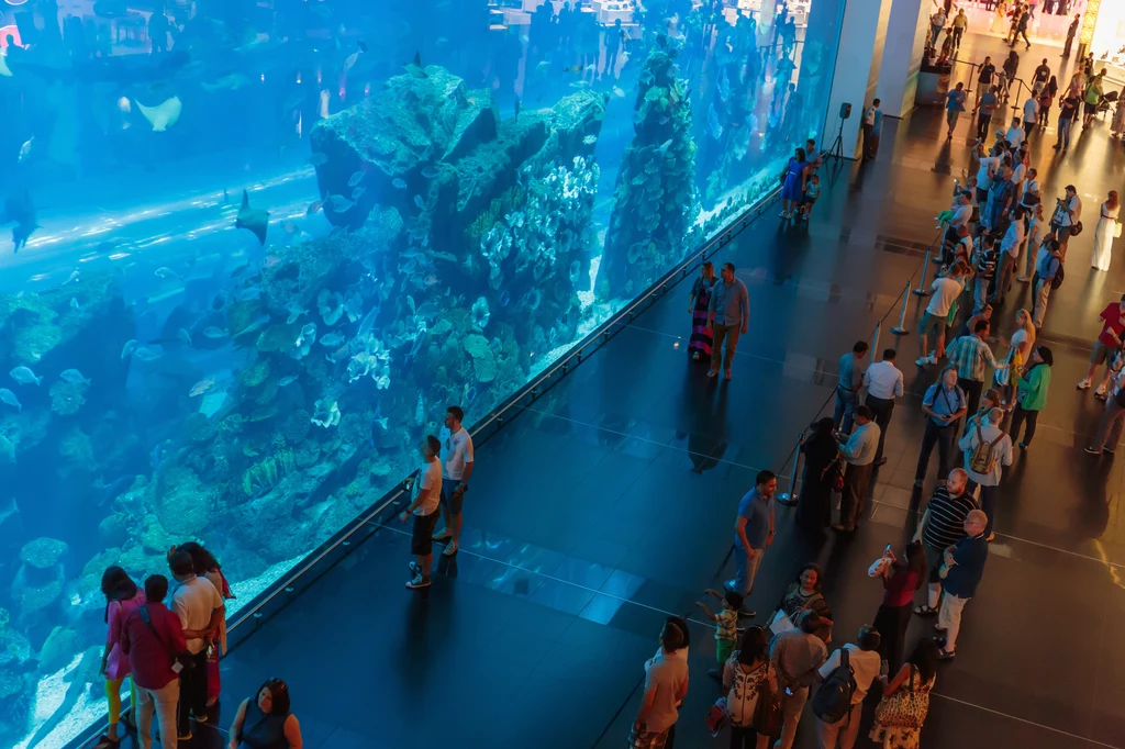 Potężne akwarium w Dubai Mall