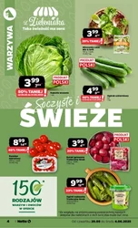 Świeże promocje w Netto!