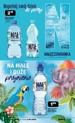 Świeże promocje w Netto!
